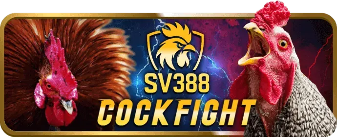 Chơi công bằng Hot51