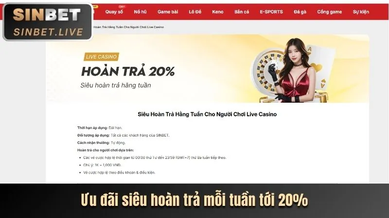 Hoàn trả hàng ngày hot51